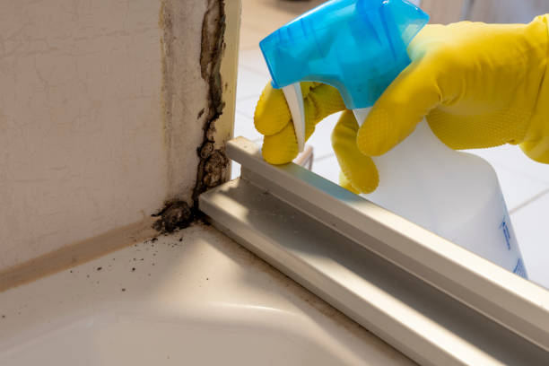 Best Mold Removal and Inspection  in Lahoma City, OK