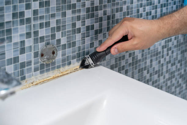 Best Fast Mold Removal  in Lahoma City, OK