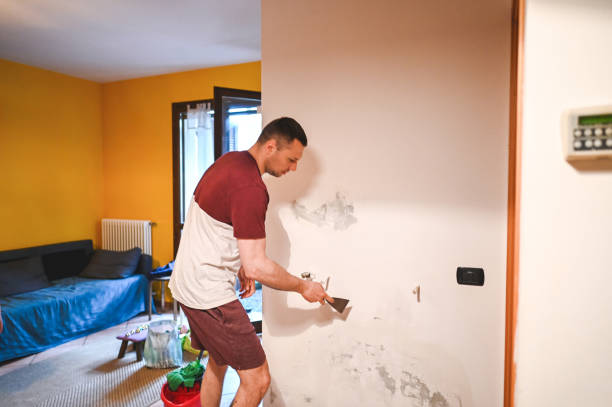Reliable Oklahoma City, OK Mold Removal Solutions