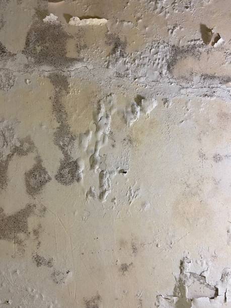 Best Crawl Space Mold Removal  in Lahoma City, OK